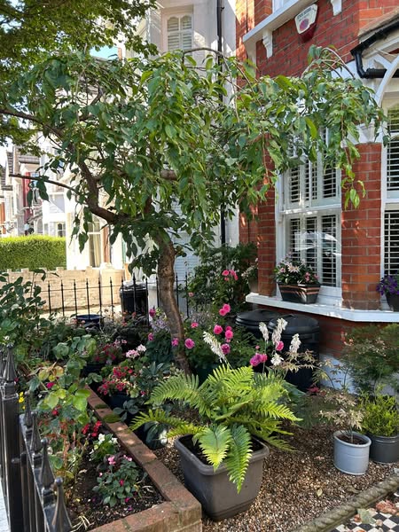 Southfields Grid Residents' Association