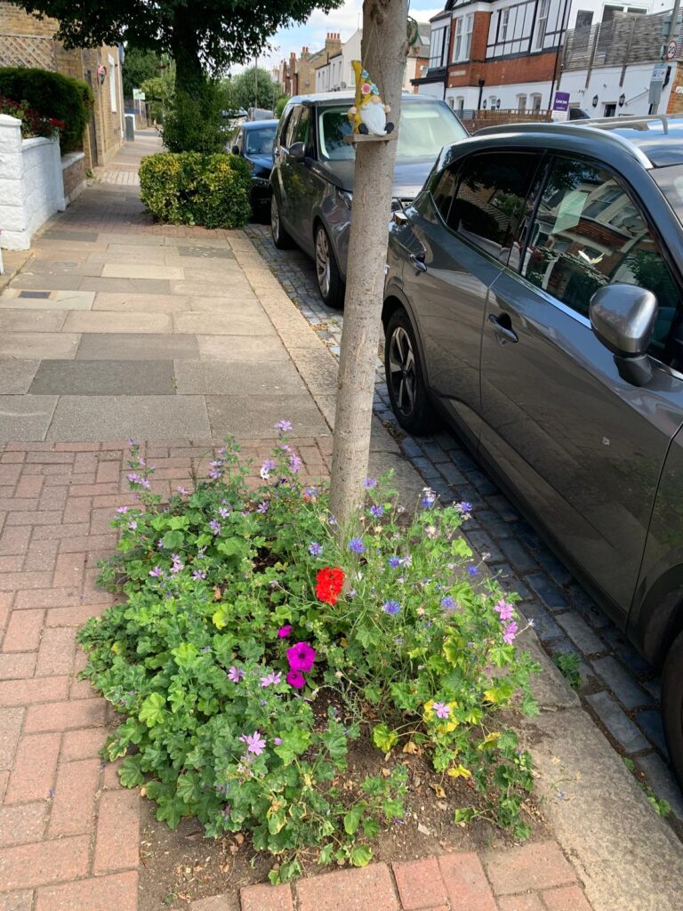 Southfields Grid Residents' Association