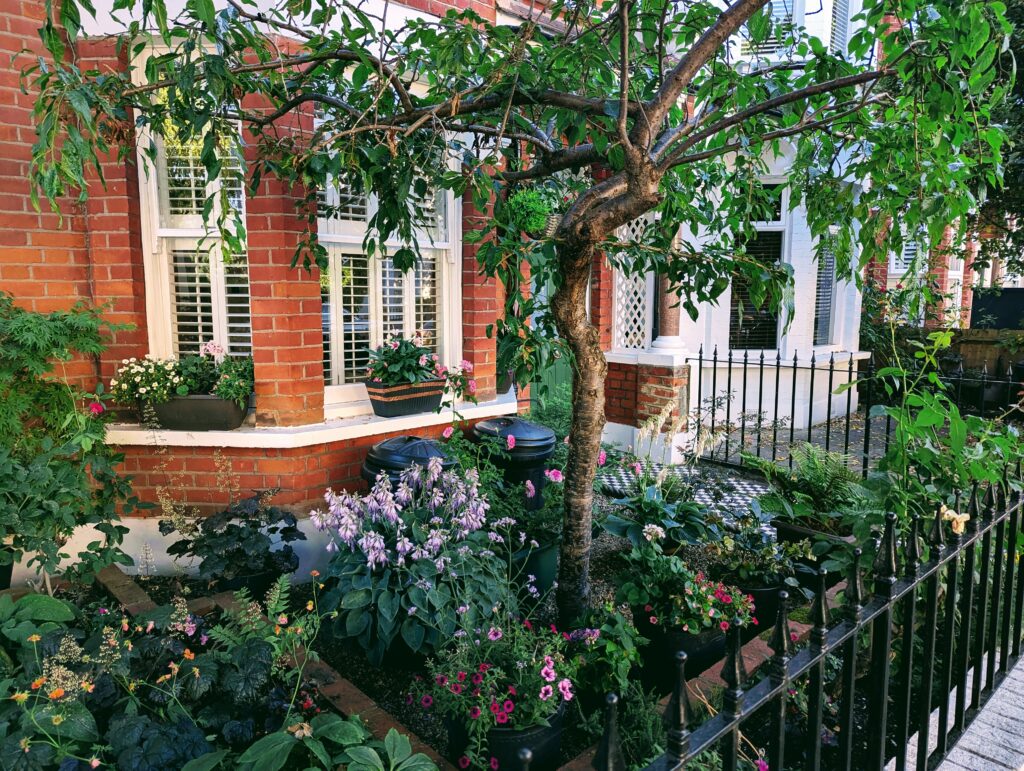 Southfields Grid Residents' Association