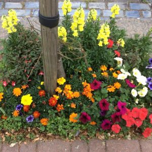 Southfields Grid Residents' Association